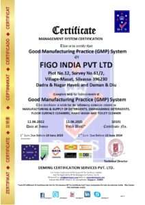 10101 dcs figo india pvt ltd gmp certificate